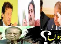 PML N New Funny Dubbed video