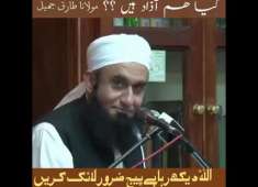 Molaana tariq jameel