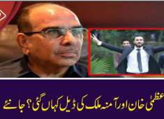 Malik Riaz Filed Defamation Case Against Hassan Niazi in Uzma Khan Case