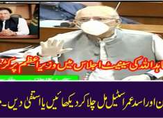 PMLN Senator Mushahidullah criticises PM Imran Khan in Senate Session
