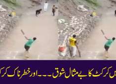 Unmatchable passion for Cricket This is Pakistan baby