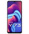 Y73 Vivo