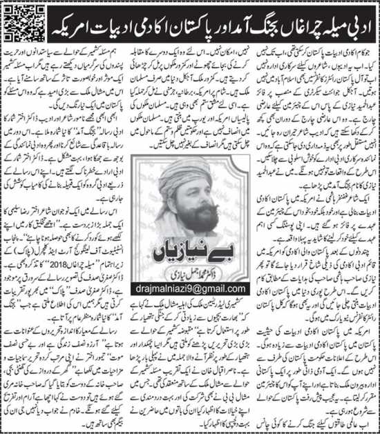 Adbi Charaghan Bajang Aamad Aur Pakistan Aakadmi Adbiyat America
