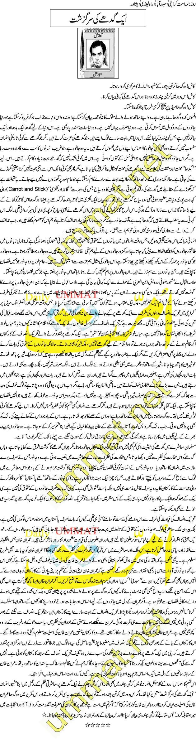 Aik Gadhe Ki Sarguzasht
