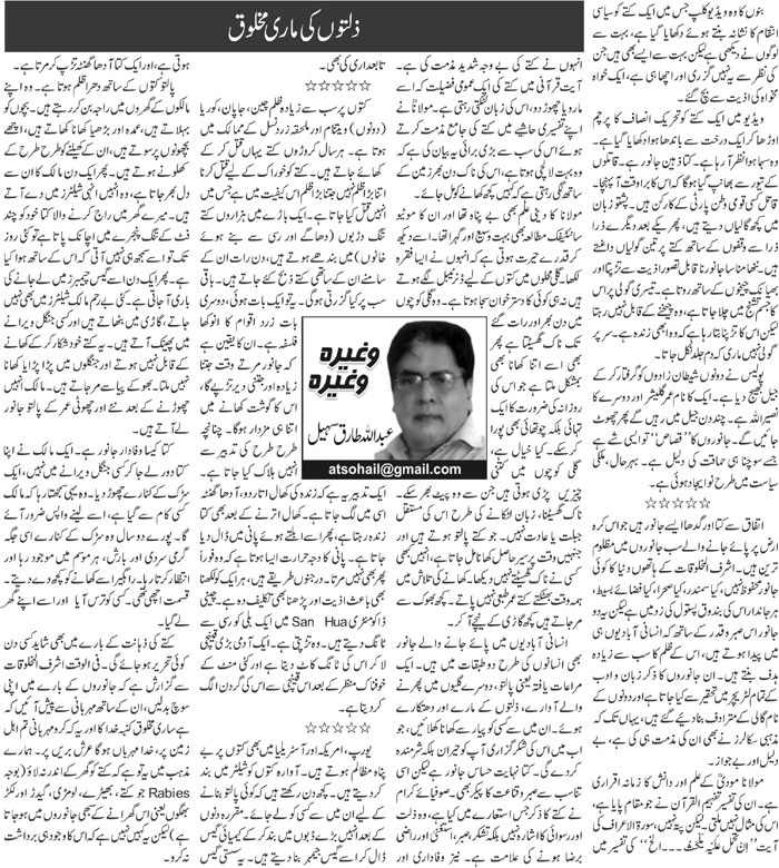 Zillaton Ki Mari Makhlooq
