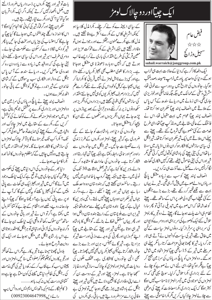 Aik Cheetah Aur Du Chalak Loomar