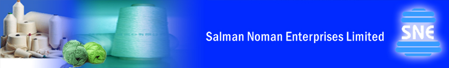 Salman Noman Enterpries Limited Share Price & Stock Profile