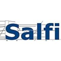 Salfi Textile Mills Limited Share Price & Stock Profile