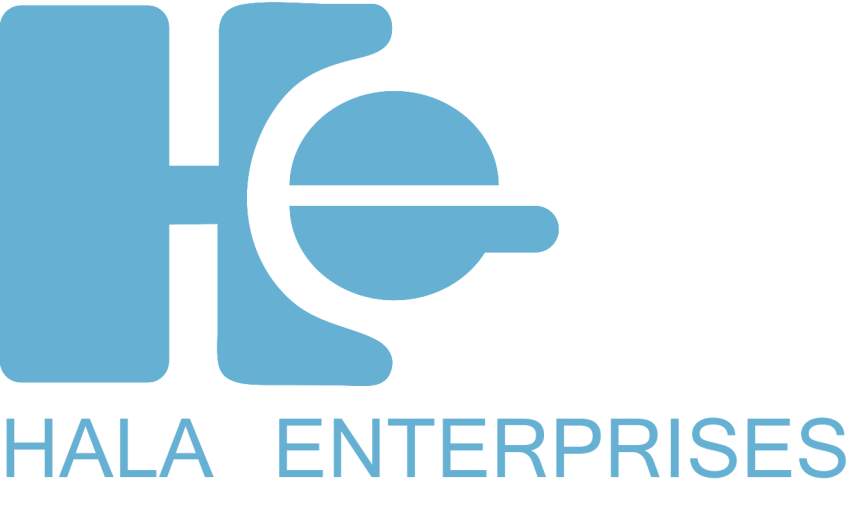 Hala Enterprises Limited Share Price & Stock Profile