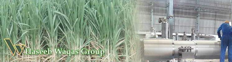 Haseeb Waqas Sugar Mills Limited Share Price & Stock Profile