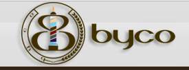 Byco Petroleum Pakistan Limited Share Price & Stock Profile