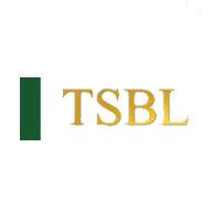 Trust Securities And Brokerage Limited Share Price & Stock Profile