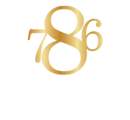786 Investment Limited Share Price & Stock Profile