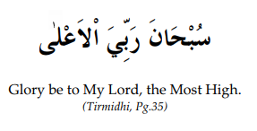 Tasbeeh In Sajdah
