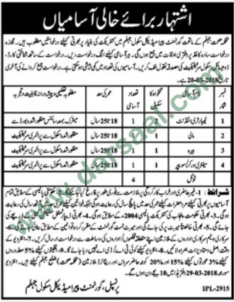 Lab Attendant, Sanitary Worker, Male Jobs in Paramedical School Jhelum 9 March 2018