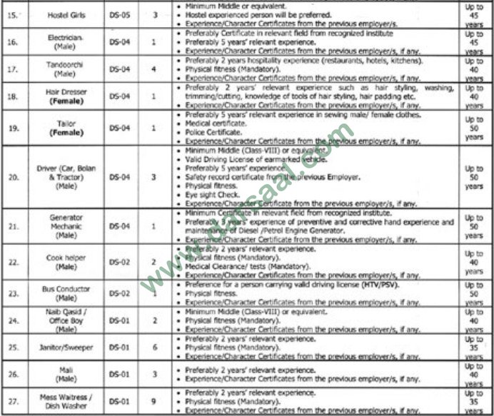 Driver, Sweeper, Mali, Electrician Jobs in Daanish School Chishtian, 13 March 2018