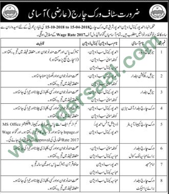 Computer Operator & Baildar Jobs in Ahmad Pur Sharkia, 14 March 2018
