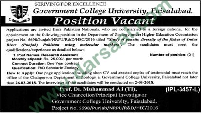 Research Assistant Jobs in Government College University Faisalabad, 17 March 2018