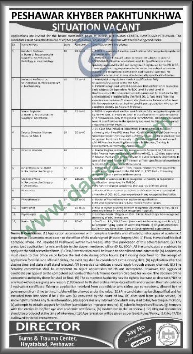 Assistant Professor, Senior Registrar, Deputy Director Jobs in Burns & Trauma Center Peshawar, 17 March 2018