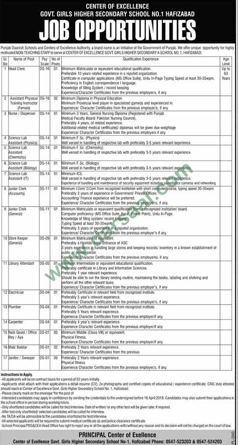 Clerk, Lab Assistant, Nurse, Store Keeper, Electrician, Plumber, Baildar, Carpenter Jobs in Govt. Girls Higher Secondary School, Hafizabad 30 March 2018