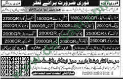 Salesman, Driver, Security Guard, Cook, Gateman, Store Keeper, Electrician, Plumber, Office Boy Jobs in Qatar, 17 April 2018