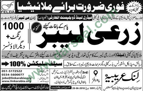 Agriculture Labour Jobs in Malaysia, 29 June 2018