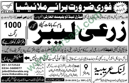 Agriculture Labour Jobs in Malaysia, 15 July 2018