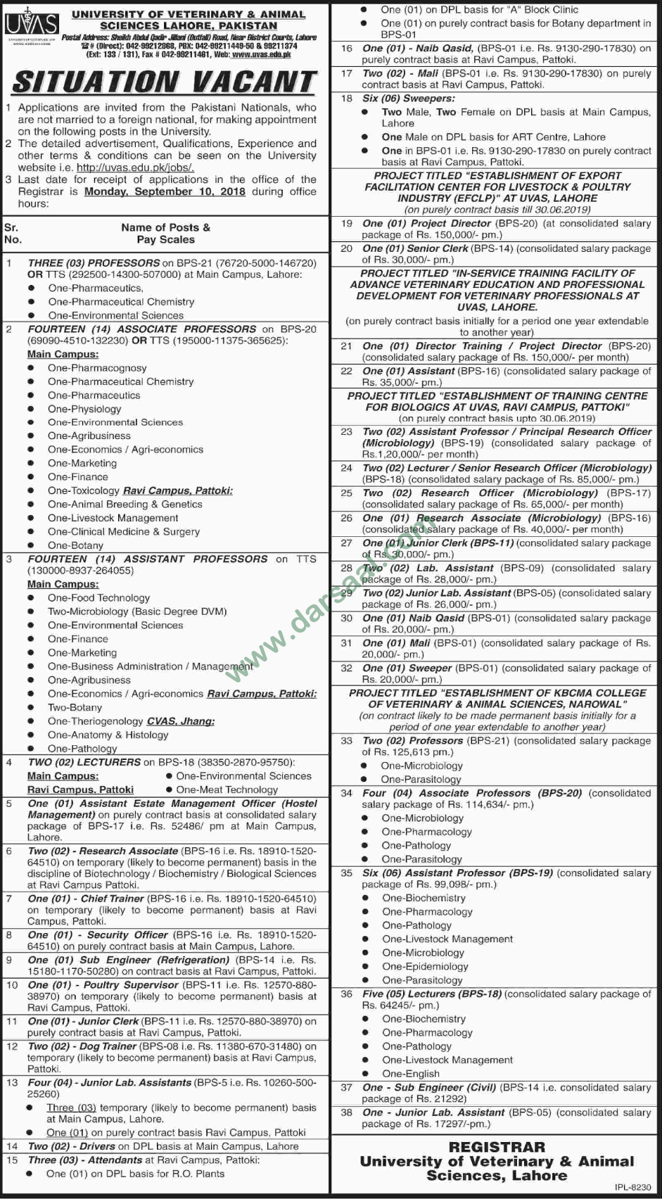 Sub Engineer, Poultry Supervisor, Junior Clerk Jobs in University of Veterinary & Animal Sciences, Lahore 13 August 2018