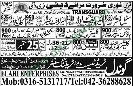 Airport Loader Jobs in Gondal Trade Test and Training Centre in UAE - Sep 23, 2018