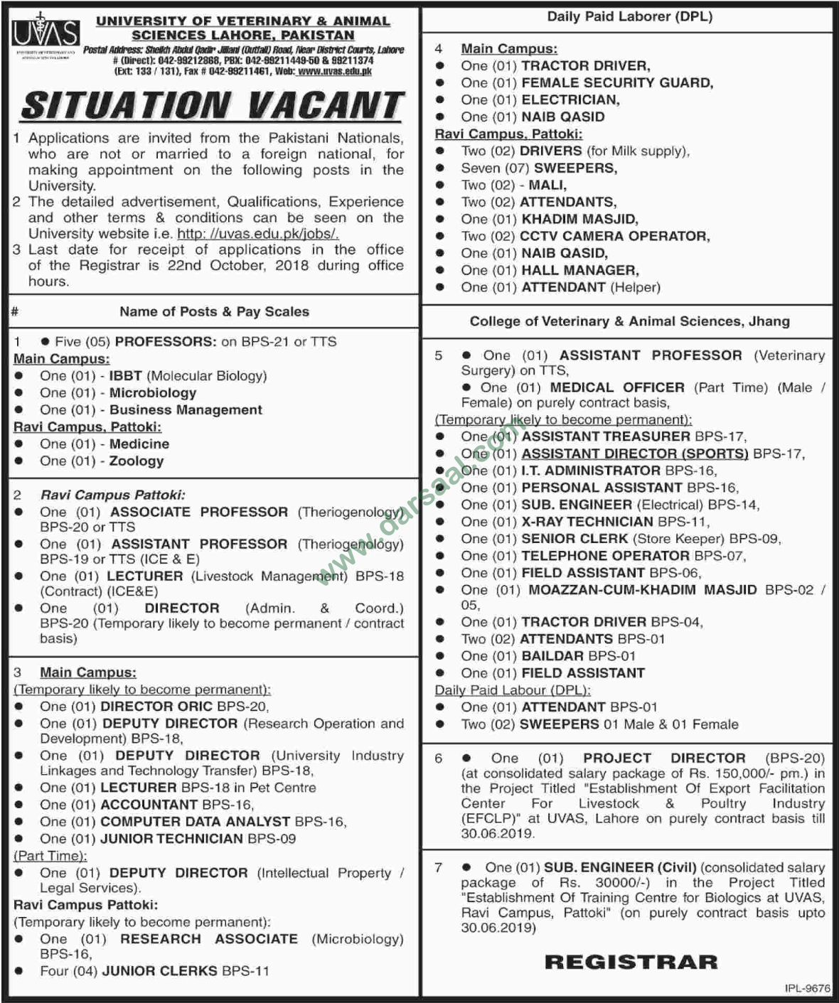 x-ray-technician-jobs-in-university-of-veterinary-and-animal-in-lahore-01-oct-2018-darsaal