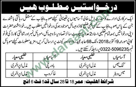 Cook Jobs in Government Departments in Rajanpur - Oct 06, 2018