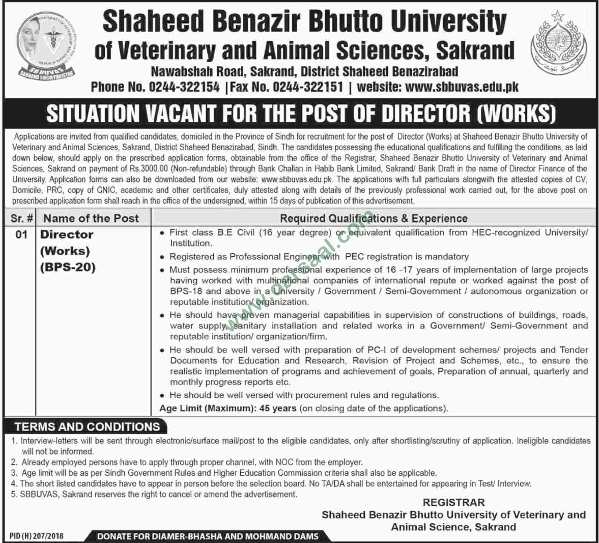 Director Jobs In Shaheed Benazir Bhutto University Of Veterinary And Animal  Sciences In Sakrand - 26 Nov 2018 - Darsaal