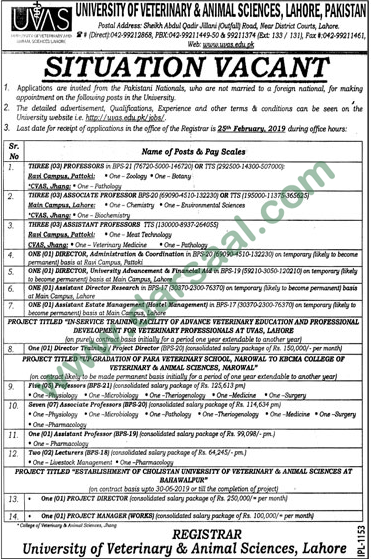 Assistant Professor Jobs In University Of Veterinary And Animal In Pattoki - 08 Feb 2019 - Darsaal Assistant Professor Jobs In University Of Veterinary And Animal In Pattoki - 08 Feb 2019 - Darsaal
