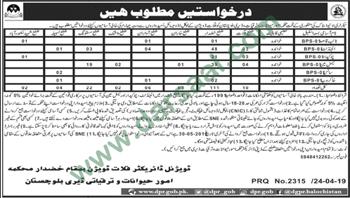 Cable Man Jobs in Livestock & Dairy Development in Kalat - Apr 26, 2019