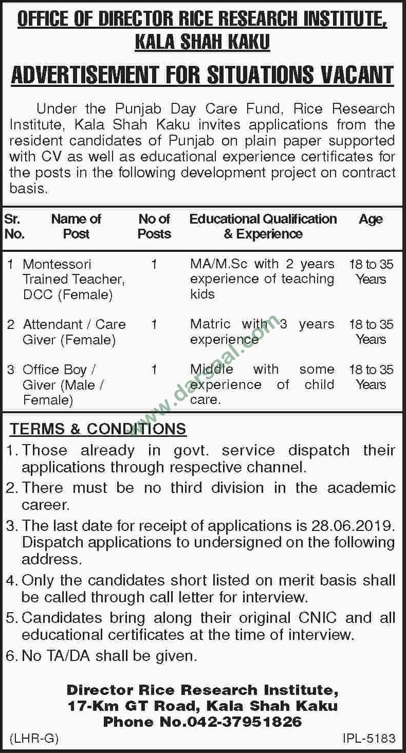 Attendant Jobs in Rice Research Institute - RRI in Kala Shah Kaku - Jun 14, 2019