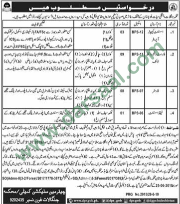 Assistant Computer Operator Jobs in Forest Department in Quetta - Jun 29, 2019