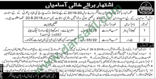 Computer Operator Jobs in Irrigation Department in Bahawalnagar - Aug 06, 2019